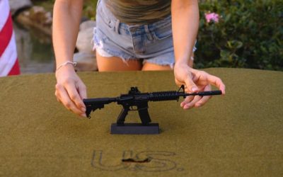 Model GunShop: Miniature Firearms